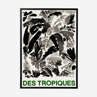 Des Tropiques Art Print