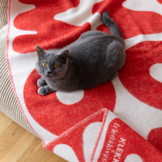 Klekks No. 11 Amore Wool Blanket