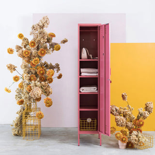 The Skinny Locker Cabinet
