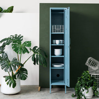 The Skinny Locker Cabinet