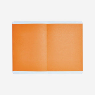 Notizbuch Inspiration M Bloom