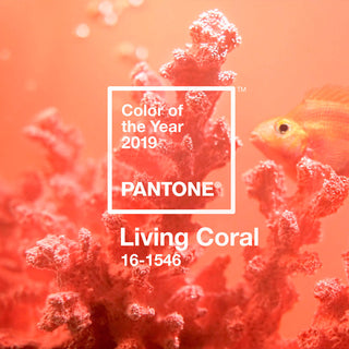 Pantone™ Schlüsselband Short