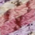 Raspberry Pomerant