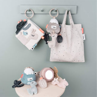 Sensory To-Go Toy Lalee
