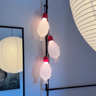 Light Soy Flex
