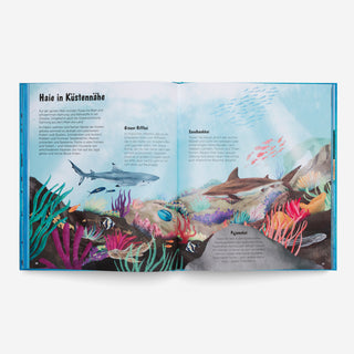 The World of Sharks