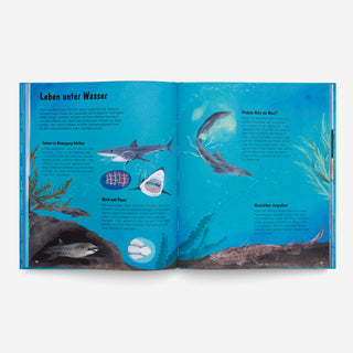 The World of Sharks
