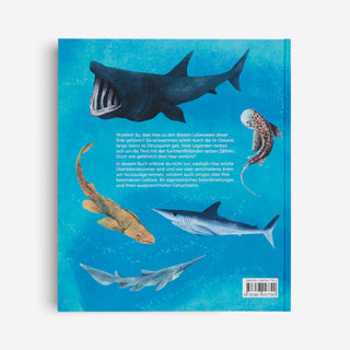 The World of Sharks