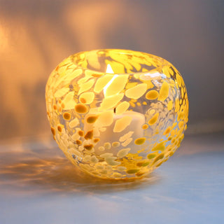 Urchin Bright Sun