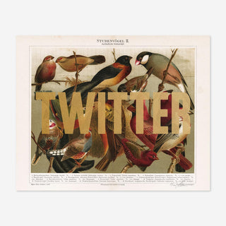 Witty Words Twitter Screen Printing