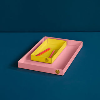 POI Tray / Organizer M