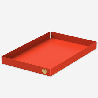 POI Tray / Organizer L