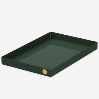 POI Tray / Organizer L