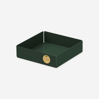 POI Tray / Organizer S
